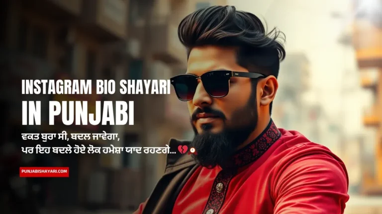 Instagram Bio Punjabi Shayari