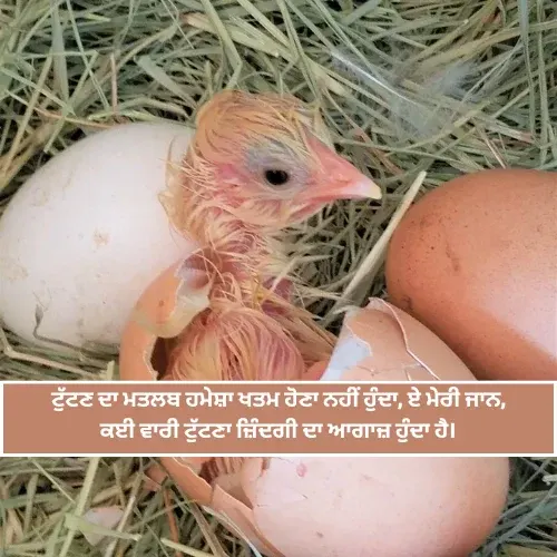 Punjabi Shayari Punjabi Shayari